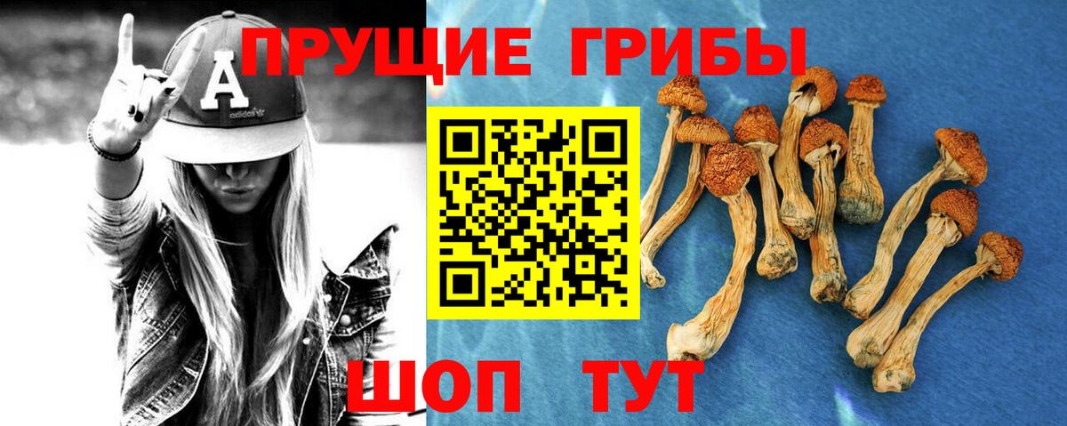Галлюциногенные грибы Magic Shrooms Санкт-Петербург